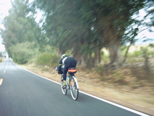 Date : 2008-09-02 11:01:58