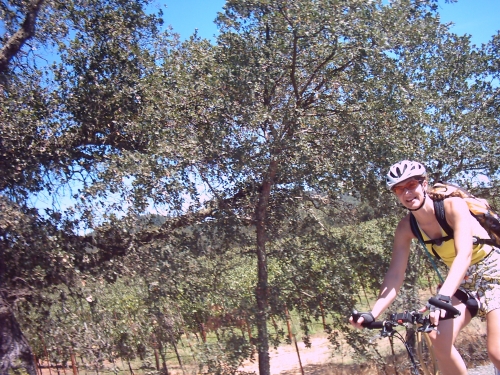 Date : 2008-09-02 11:57:16