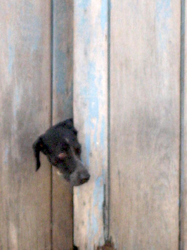 Date : 2009-09-24 19:13:58