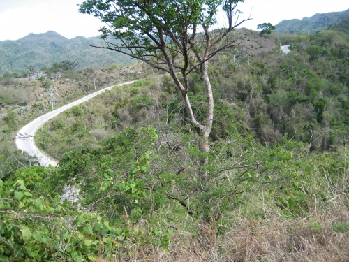 Date : 2009-09-24 19:25:24