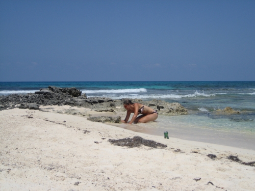 Date : 2009-09-24 19:43:37