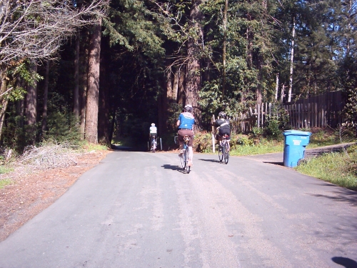 Date : 2010-04-02 08:14:06