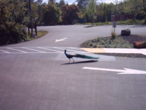 Date : 2010-04-12 21:45:11