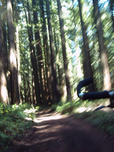 Date : 2010-07-14 12:34:48