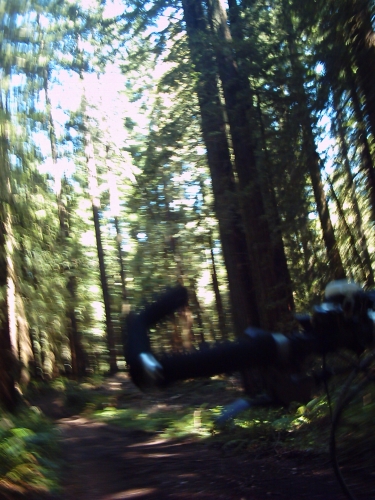 Date : 2010-07-14 12:34:50