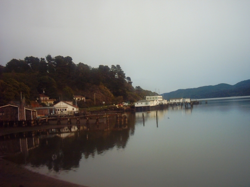  Lovely Marshall afternoon at Tomales Bay  