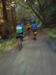 A nice climb, Purisima Creek  &raquo; Click to zoom ->