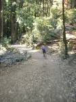 Bryan C descending somewhere on Mt Tam  &raquo; Click to zoom ->