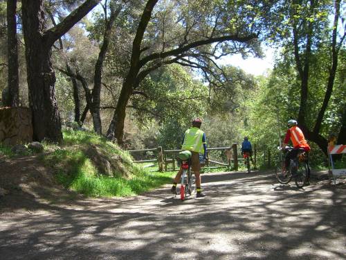 Date : 2013-04-16 16:42:49