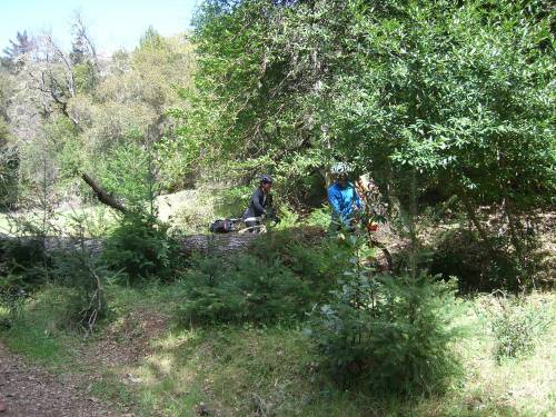 Date : 2013-04-16 16:43:03