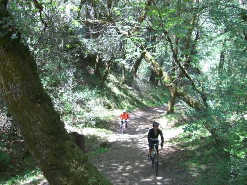 Date : 2013-04-16 16:43:30