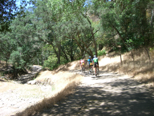 Date : 2013-06-14 13:02:12