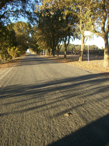 Date : 2013-11-21 11:16:46