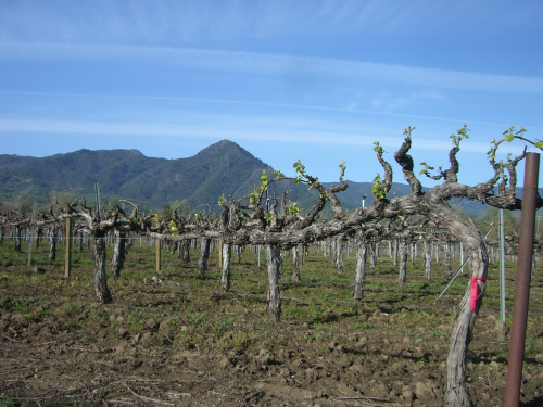 Date : 2014-04-09 21:34:30