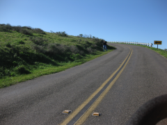 Deb F official fotographer  &raquo; Click to zoom ->