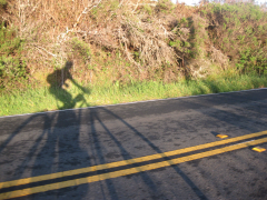 Shadow rider  &raquo; Click to zoom ->