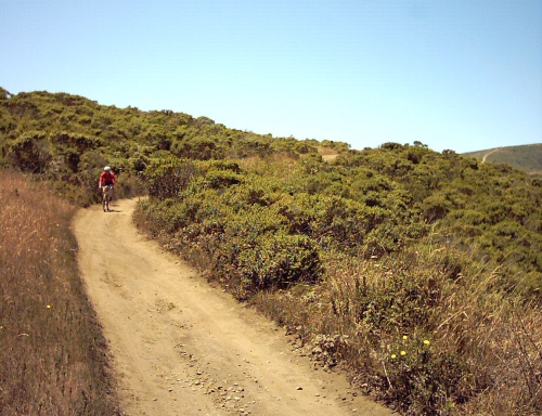 Date : 2006-08-25 09:56:12