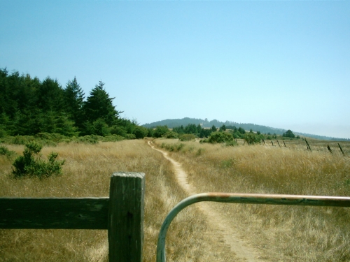 Date : 2006-08-25 10:03:58