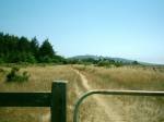 Bolinas Ridge trail  &raquo; Click to zoom ->