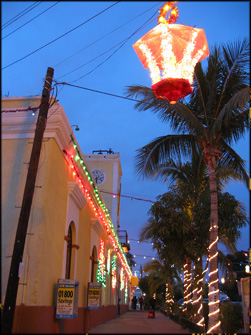San Jose del Cabo Christmas Lights.jpg